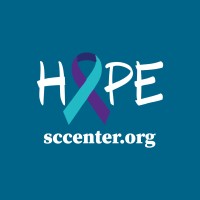 Suicide and Crisis Center of North Texas logo - Similar company to Access Counseling Group