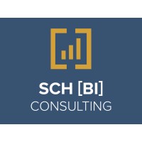SCH [BI] Consulting logo - Similar company to Sch Consulting