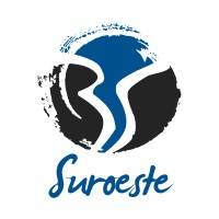 Bebidas del Suroeste logo - Similar company to Strategydriven