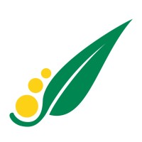 Acacia Partners logo - Similar company to Chan & Naylor - Business & Property Tax Accountants