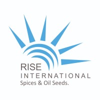 Rise International logo - Similar company to Rise International Consulting
