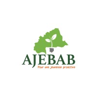 Association des Jeunes Entrepreneurs au Burkina en AgriBusiness logo - Similar company to Association Investir En Zone Franc