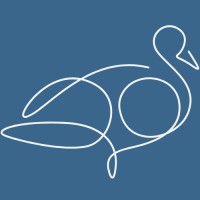 Little Duck Insights