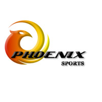 Phoenix Sports logo - Similar company to Perfect Solutions