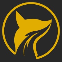 Wilyfox Media Co. logo - Similar company to Digituall