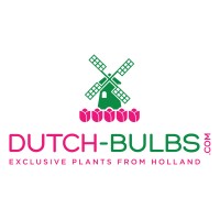 DUTCH-BULBS.COM logo - Similar company to Career And Culture Nl Stichting