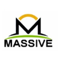 Massive Service logo - Similar company to B Compliant Consulting