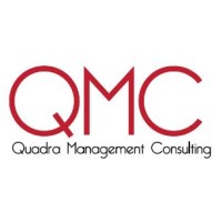 Quadra Management Consulting logo - Similar company to Remodule