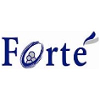 Forte Solutions logo - Similar company to Arcsol