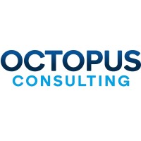 OCTOPUS CONSULTING LUXEMBOURG logo - Similar company to Blackridge Group
