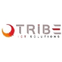 TRIBE srl logo - Similar company to Re.Solucion Srl