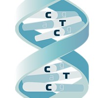 Clinical Trials Companion logo - Similar company to Infinite Clinical Solutions