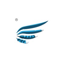 Bluebird Moving Stories logo - Similar company to Bluebirdstudio