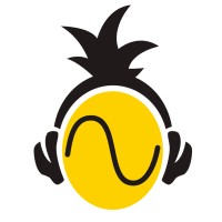Nanas Sound logo - Similar company to Sentinel Research And Development