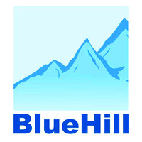 Bluehill IT logo - Similar company to Illum Advisors
