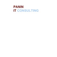 PANIN IT Consulting logo - Similar company to Conversion Flair
