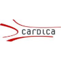 Cardica, Inc. logo - Similar company to Stretch Inc.
