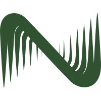 NetStronghold logo - Similar company to London'S Calling