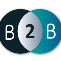 B2BTycoons logo - Similar company to Cloudeye Consulting Llc