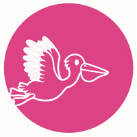 Pink Pelican Tours logo - Similar company to Flint Collective Nyc