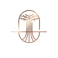 Dinku Transnational FZCO logo - Similar company to Create Your Own Website | Cyow