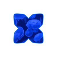 Exium logo - Similar company to Haitoko