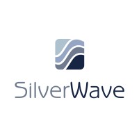 SilverWave logo - Similar company to Silverwave Corporation