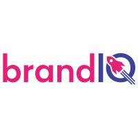 brandIQ.nl logo - Similar company to Qando