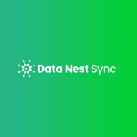 Data Nest Sync logo - Similar company to Digital Idea Solutions (Pvt) Ltd