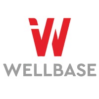 Wellbase Industrial Limited logo - Similar company to Saka Saka Ltd