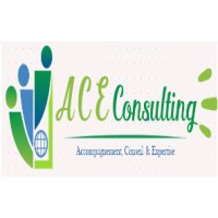 A.C.E Consulting logo - Similar company to S.A.R.L City Connect