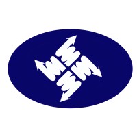 MULTIFACET SOFTWARES SYSTEMS PRIVATE LIMITED logo - Similar company to Dataman Computer Systems (P) Ltd.