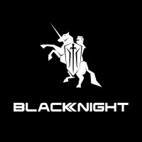 Black Knight Malaysia logo - Similar company to Alyfe Group