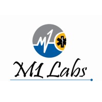 M1 Labs LLC logo - Similar company to Blacksmith Applications: Sales Enablement
