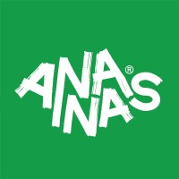 Ananas Puzzles logo - Similar company to Hubhub Creative