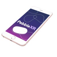 PebbleXR logo - Similar company to Prema Creative Co.