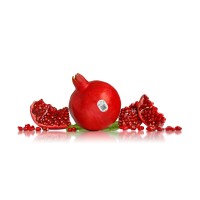 Moon Premium Fruits logo - Similar company to Finca Albalate