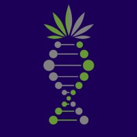 Denver Clone Store logo - Similar company to Evolearn