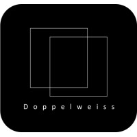 Doppelweiss Holding GmbH logo - Similar company to Doppelweiss Datascience Gmbh & Co. Kg