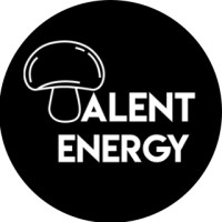 Talent Energy logo - Similar company to Gestalt Capital