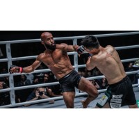 Journal of Combat Sports Economics logo - Similar company to The Bangladeshi Fighter’S League | Bflmma