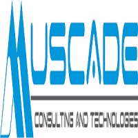 Muscade Consulting and Technologies logo - Similar company to Hailstone Technology