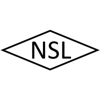Naina Semiconductor Ltd. logo - Similar company to Cleansilicon