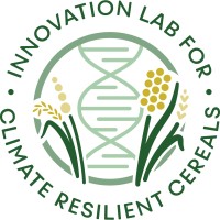 Climate Resilient Cereals Innovation Lab logo - Similar company to Yachtingbc