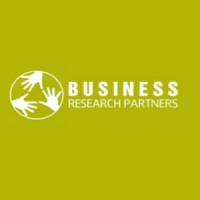 Business Research Partners logo - Similar company to Performance Srl