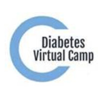 Diabetes Virtual Camp logo - Similar company to Mini Med Explorers, Llc.