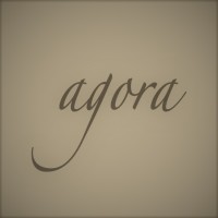 Agora Partners logo - Similar company to Agora Connections