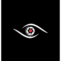 DontBlink Global logo - Similar company to Nimax Digital