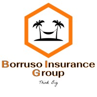Borruso Insurance Group logo - Similar company to Seisser.Tech