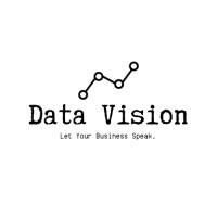 Data Vision logo - Similar company to S&K Data Services